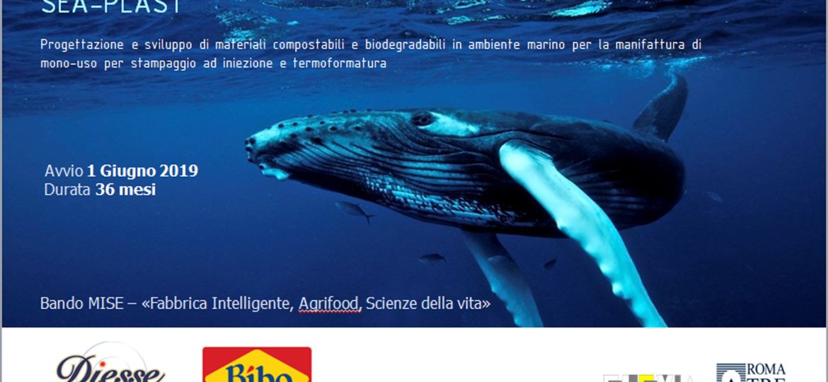 img seaplast (Demo)