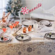 Coordinato in cartoncino Silver