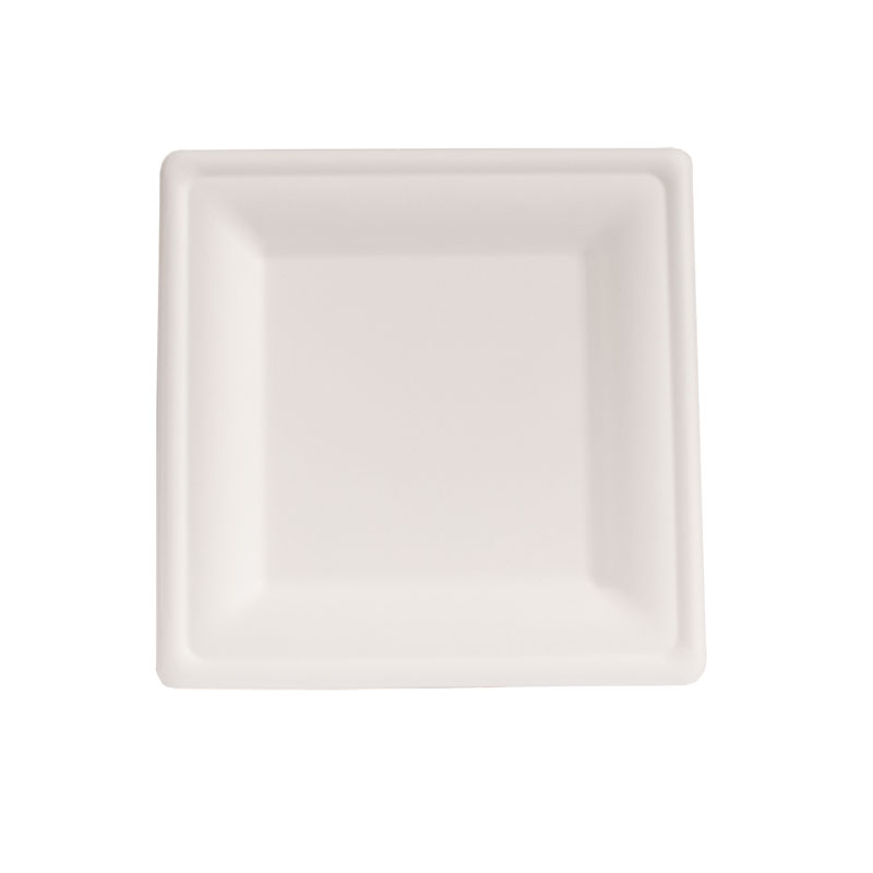 Piatti quadrati in polpa di cellulosa