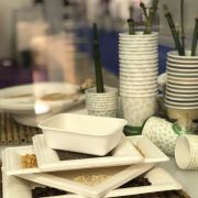 Piatti quadrati in polpa di cellulosa